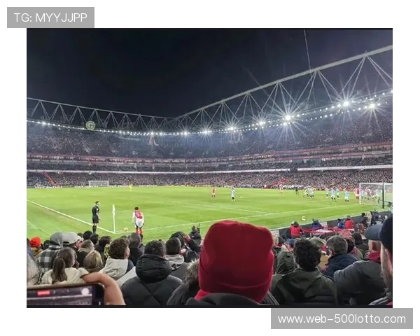 球迷闯入球场致比赛中断，安保人员迅速控制局面